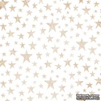 Лист веллума в золотые звезды от Pink Paislee - Sweet Freedom Foiled Vellum - Copper Stars, 30х30 см