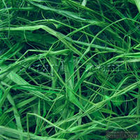 Рафия натуральная, цвет зеленый, 55-70 г