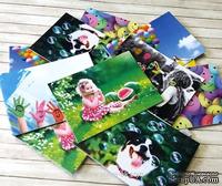 Карточки на плотном картоне от Евгения Курдибановская ТМ - "Позитив", 5х7 см, 12 штук