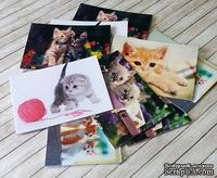 Набор карточек от Евгения Курдибановская ТМ - "Котята", 5х7 см, 10 шт.