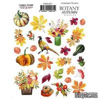 Набор наклеек (стикеров) 071 Botany autumn redesign, ТМ Фабрика Декора
