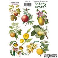 Набор наклеек (стикеров) 9 шт Botany exotic 205, ТМ Фабрика Декора