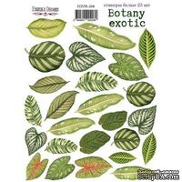 Набор наклеек (стикеров) 25 шт Botany exotic 208, ТМ Фабрика Декора