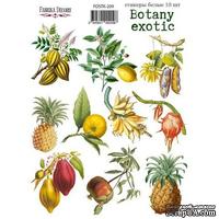 Набор наклеек (стикеров) 10 шт Botany exotic 209, ТМ Фабрика Декора
