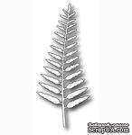 Лезвие - DIES - Delicate Fern от Memory Box, 1 шт - ScrapUA.com