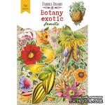 Набор высечек коллекция Botany exotic fruits, ТМ Фабрика Декора - ScrapUA.com