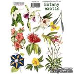 Набор наклеек (стикеров) 10 шт Botany exotic 210, ТМ Фабрика Декора - ScrapUA.com