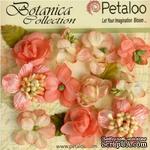 Набор объемных цветов Petaloo - Botanica Minis - Coral - ScrapUA.com