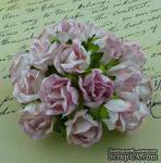 Бутоны большие дикой розы, цвет нежно-розовый, размер бутона 2 см, 1шт - ScrapUA.com