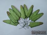 Набор бумажных листьев папоротника, цвет - зеленый, 70 мм, 10 шт - ScrapUA.com