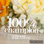 Чипборд ScrapBox - Надпись 100% champion Hi-329 - ScrapUA.com