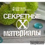 Чипборд ScrapBox - Надпись Секретные материалы Hy-033 - ScrapUA.com