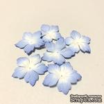 Голубые цветочки с острыми лепестками, 20 шт - ScrapUA.com