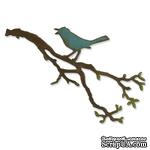 Лезвие от Sizzix - Sizzix - Tim Holtz - Bigz Die Bird Branch - ScrapUA.com