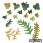 Ножи от Sizzix - Sizzix Thinlits Die Set 12PK - Leaves, Fern &amp; Ivy - ScrapUA.com