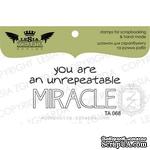 Акриловый штамп Lesia Zgharda TA068 You are unrepeatable miracle, размер 5x2,3 см - ScrapUA.com