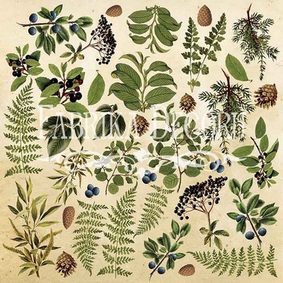 Аркуш для вирізання №2 Botany (eng), TМ Фабрика Декору