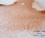 Фарба-спрей 13arts - Ayeeda Mist - Pearl Brown Light