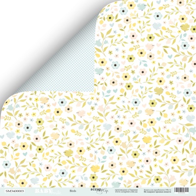 Аркуш двостороннього паперу для скрапбукінгу від Scrapmir - Birds - Smile Baby, 30x30 см