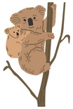 Ніж для вирубки від Koala Bear від Cheery Lynn Designs, 3 шт.