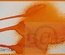Фарба-спрей 13arts - Ayeeda Mist - Pearl Orange
