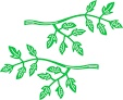 Ножі від Cheery Lynn Designs - Branch, 2 шт