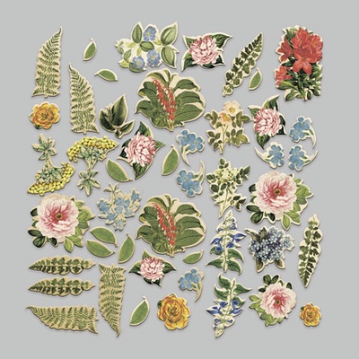 Набір висічок Summer botanical story, 47 шт., ТМ Фабрика Декору