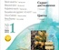 Журнал «Скрап - інфо» №1 - 2013