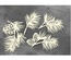 Набір чіпбордів Winter botanical diary 759, 10x15см, колір молочний, ТМ Фабрика Декору