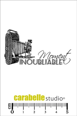 Штамп : Moment inoubliable - Carabelle Studio - Незабываемый момент