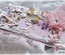 Ніж для вирубки Crafty Ann - Border 1