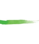 Фарба концентрована Prima Marketing Art Philosophy Watercolor Concentrate - Moss, 15 мл