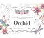 Набір листівок для розмальовування маркерами Orchid, ТМ Фабрика Декору