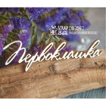 Чіпборд ScrapBox - напис Першоклашка Hi-296