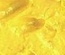 Текстурна акрилова паста Shimmerz - Dazzlerz Lemon Drop, гладка, блискуча, 59 мл
