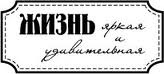 Акриловий штамп "Яскраве диття"