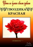Набір паперу для виготовлення квітів - гвоздика червоного кольору