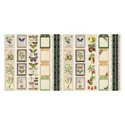 Набір смужок з картинками для декорування Summer botanical diary 5 бл. 5x30,5см, ТМ Фабрика Декору