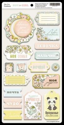 Чіпборд для скрапбукінгу від Scrapmir - Boy or Girl RU, 18шт. 