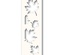 Набір з ножа для вирубки і трафарета від Poppystamps - Maple Leaf Side Strips and Stencil