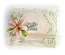 Ножі від Spellbinders - Create a Stargazer Lily