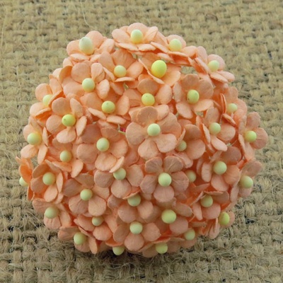 Квіточки Sweetheart, персиковий, 10мм, 10 шт.