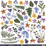 Аркуш одностороннього скрап-паперу 30x30 від Scrapmir Декор з колекції Herbarium Wild summer