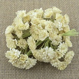 Гіпсофіла від Thailand - DEEP Ivory, 10 шт.