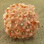 Квіточки Sweetheart, персиковий, 15мм, 10 шт.