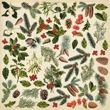 Аркуш з картинками для вирізання Winter botanical diary 30,5x30,5см, ТМ Фабрика Декору