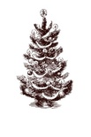 Акриловый штамп Christmas Stamp SR077 Елка, размер 3,5 * 6 см