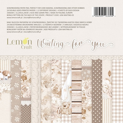 Набiр паперу для скрапбукiнгу Lemoncraft - Waiting for you, 15х15см