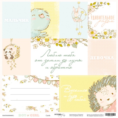 Аркуш односторонній Scrapmir - Картка (RU) - Boy or Girl, 30x30 см