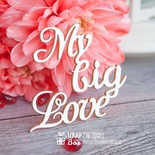 Чіпборд ScrapBox — напис My Big Love Hi-233